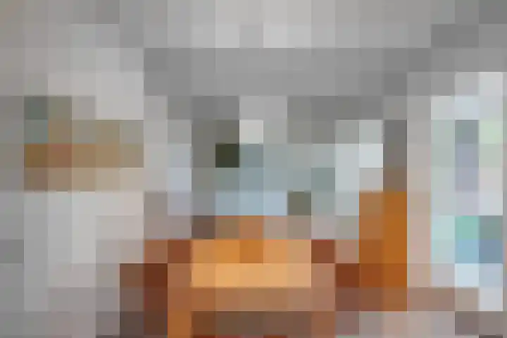 Voorbrugstraat 7 Moergestel thumbnail 12