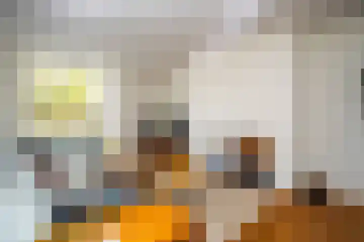 Voorbrugstraat 7 Moergestel thumbnail 15