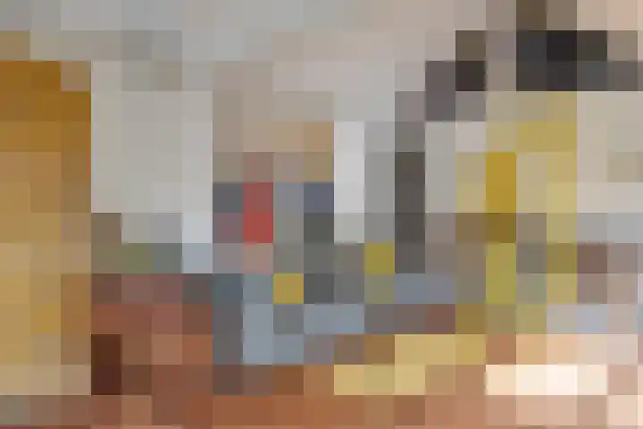 Voorbrugstraat 7 Moergestel thumbnail 25