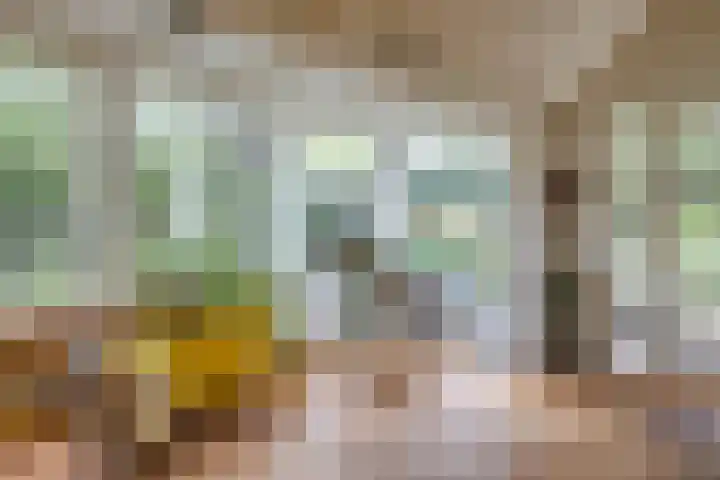 Voorbrugstraat 7 Moergestel thumbnail 26