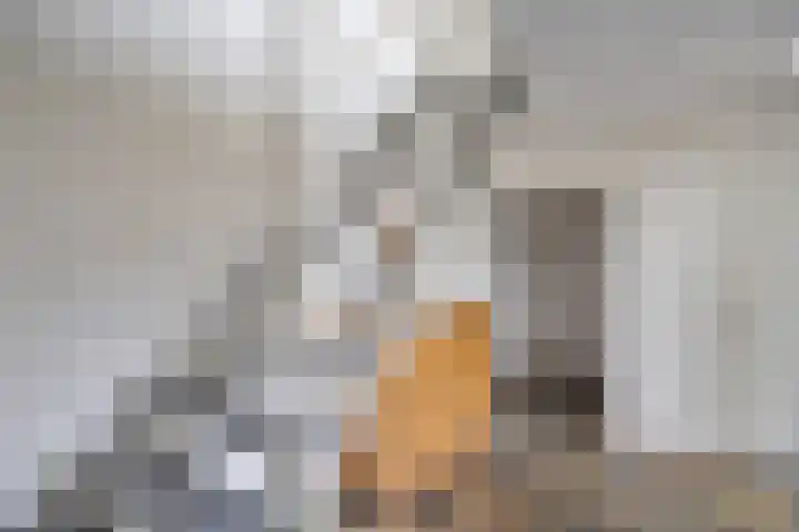 Voorbrugstraat 7 Moergestel thumbnail 4