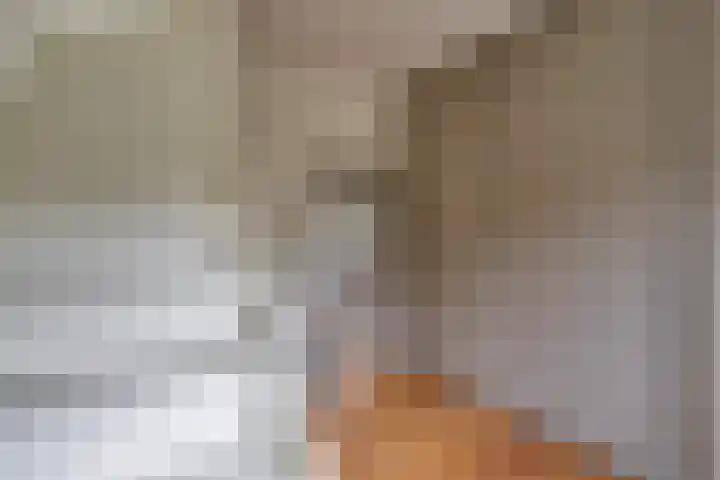 Voorbrugstraat 7 Moergestel thumbnail 41