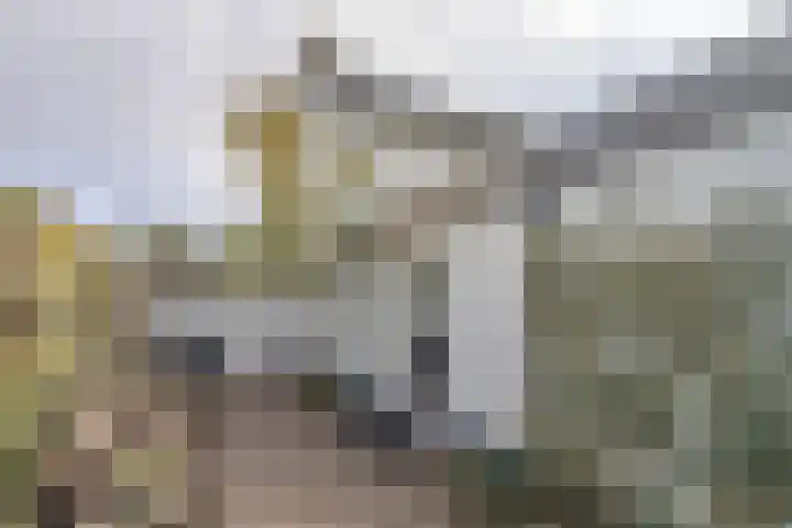 Voorbrugstraat 7 Moergestel thumbnail 43