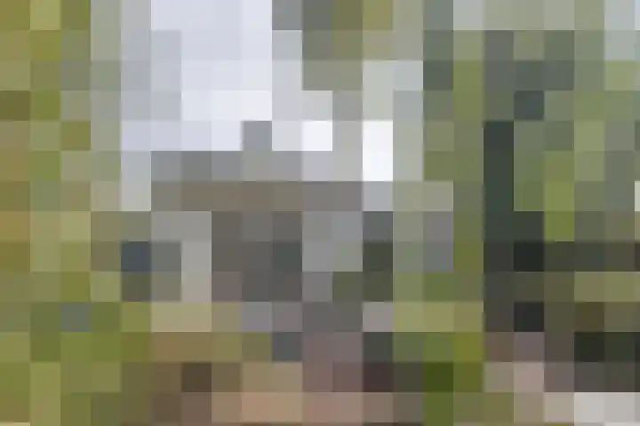 Voorbrugstraat 7 Moergestel thumbnail 44