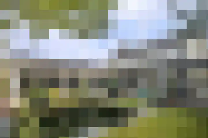 Voorbrugstraat 7 Moergestel thumbnail 47