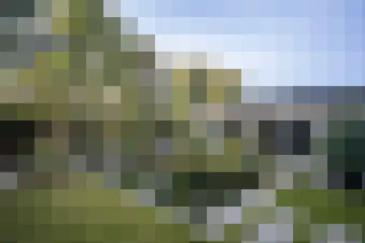 Voorbrugstraat 7 Moergestel thumbnail 49