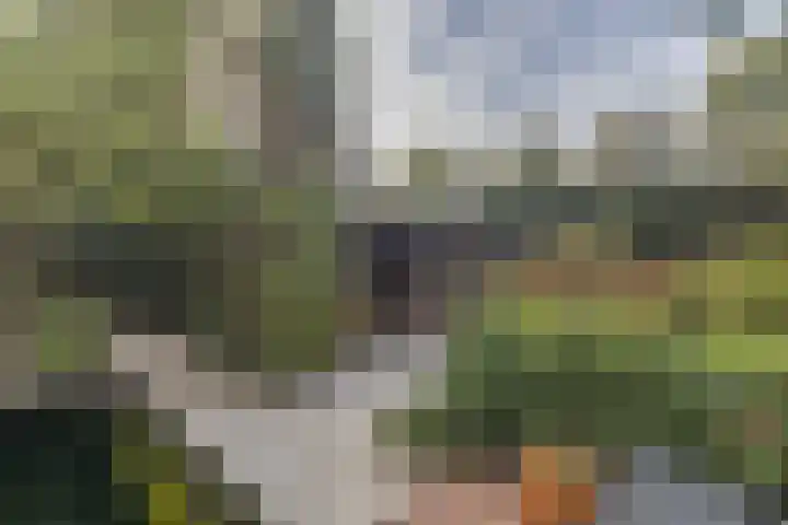 Voorbrugstraat 7 Moergestel thumbnail 50