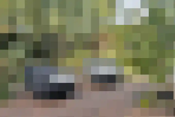 Voorbrugstraat 7 Moergestel thumbnail 51