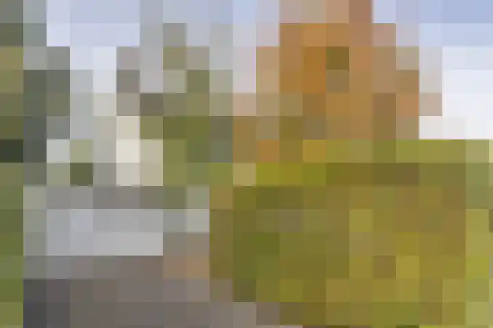 Voorbrugstraat 7 Moergestel thumbnail 52