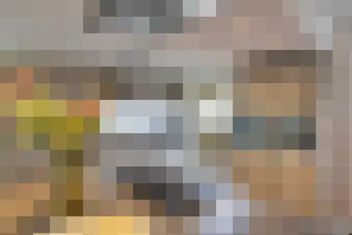 Voorbrugstraat 7 Moergestel thumbnail 7