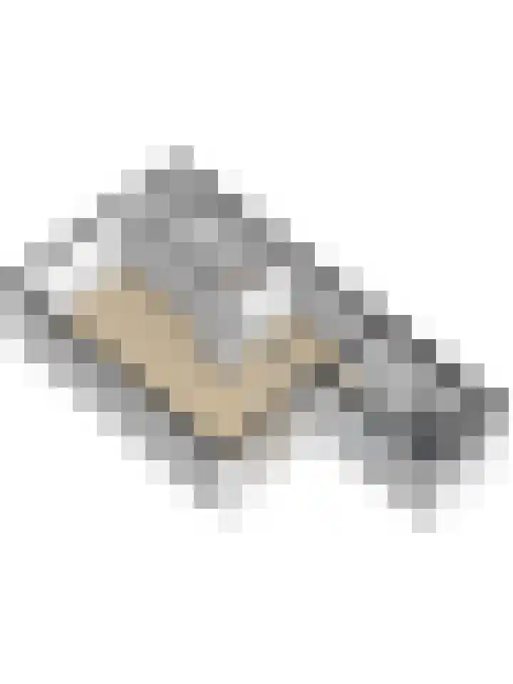 Voorburcht 21 Kapelle thumbnail 44