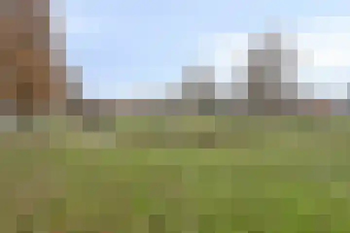 Voorburcht 25 Kapelle thumbnail 46