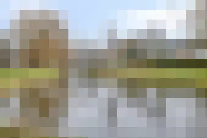 Voorburcht 25 Kapelle thumbnail 47