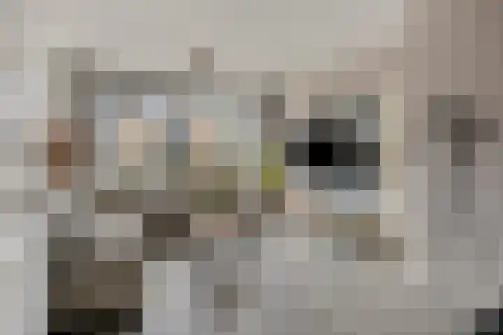 Voorburcht 25 Kapelle thumbnail 7