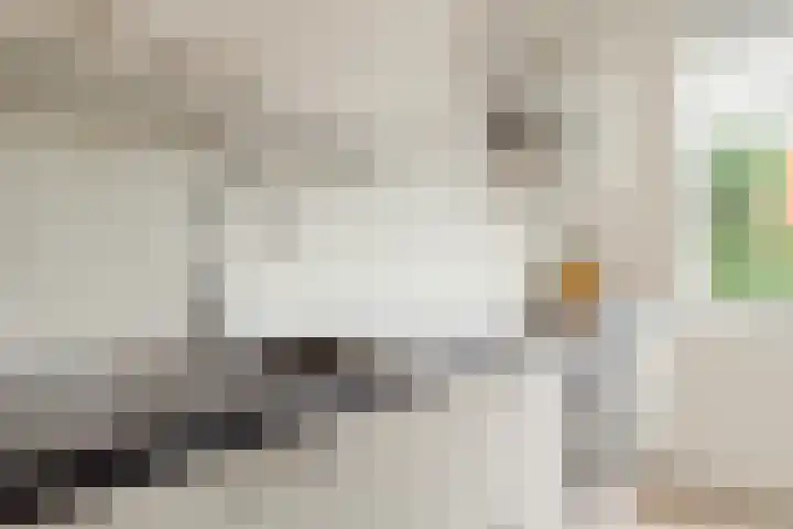 Voorburcht 3 Amersfoort thumbnail 9
