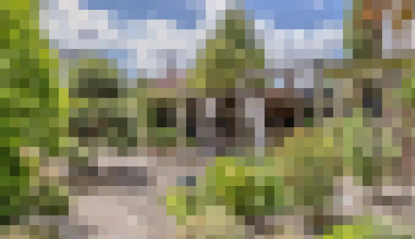 Voorburggracht 299 A Noord-Scharwoude thumbnail 4