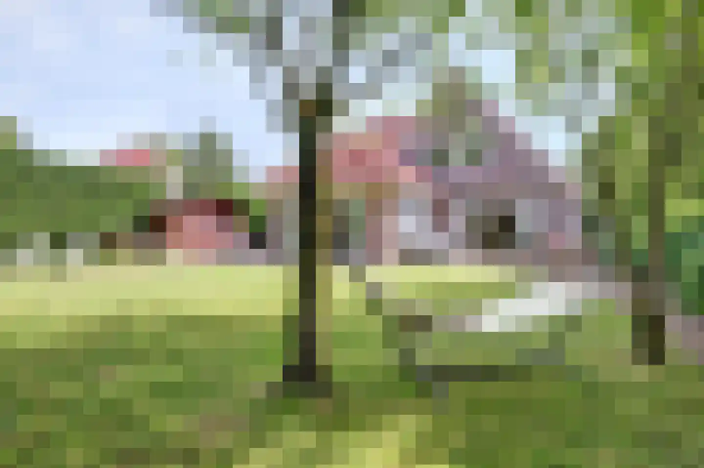 Voorburggracht 349 Oudkarspel thumbnail 56