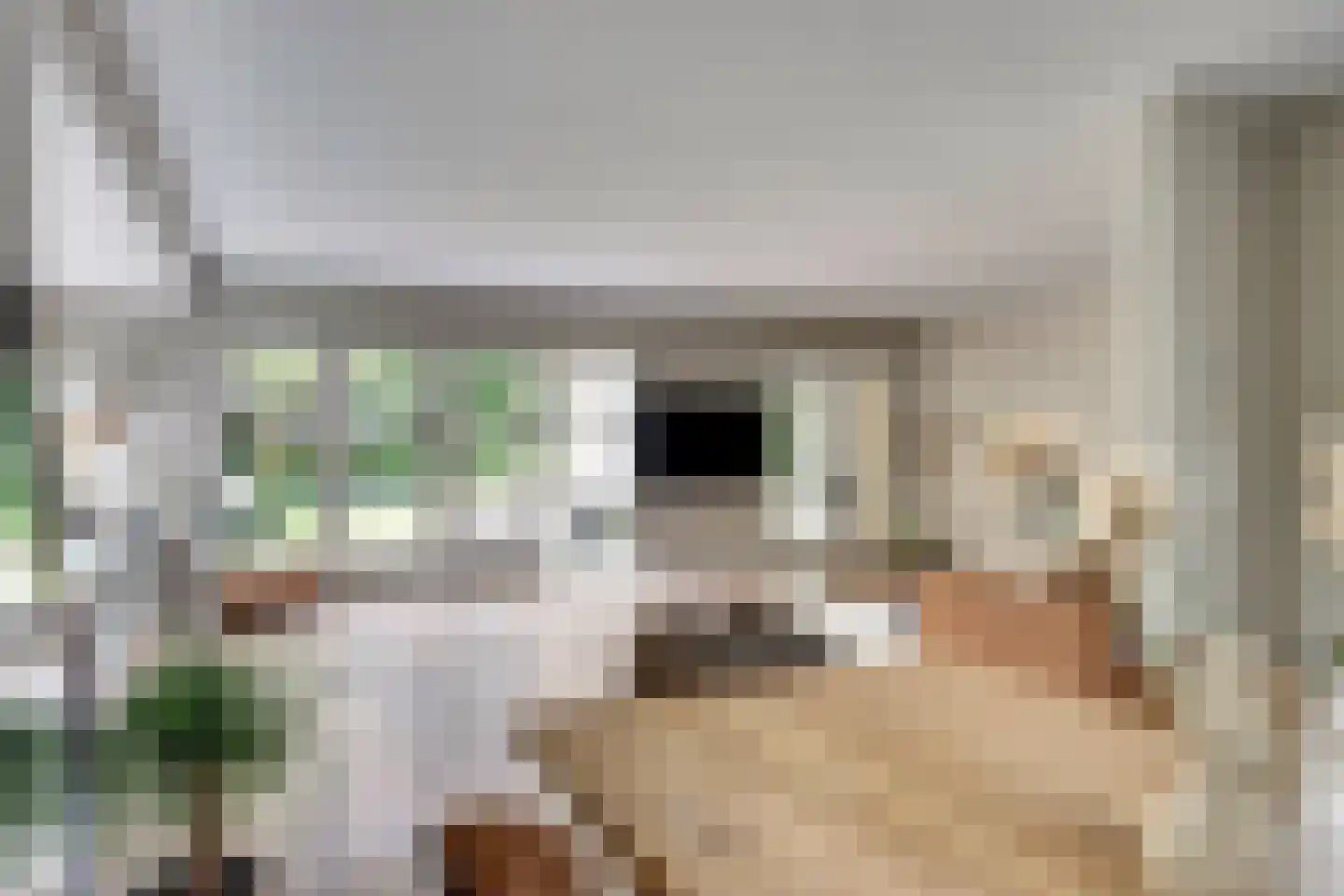 Voorburggracht 349 Oudkarspel thumbnail 7