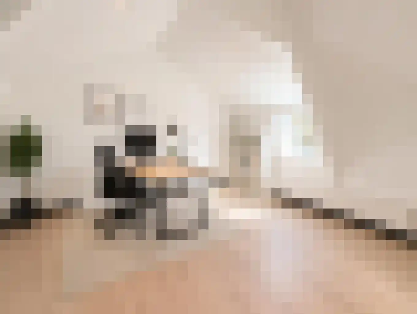 Voorburggracht 378 Oudkarspel thumbnail 9