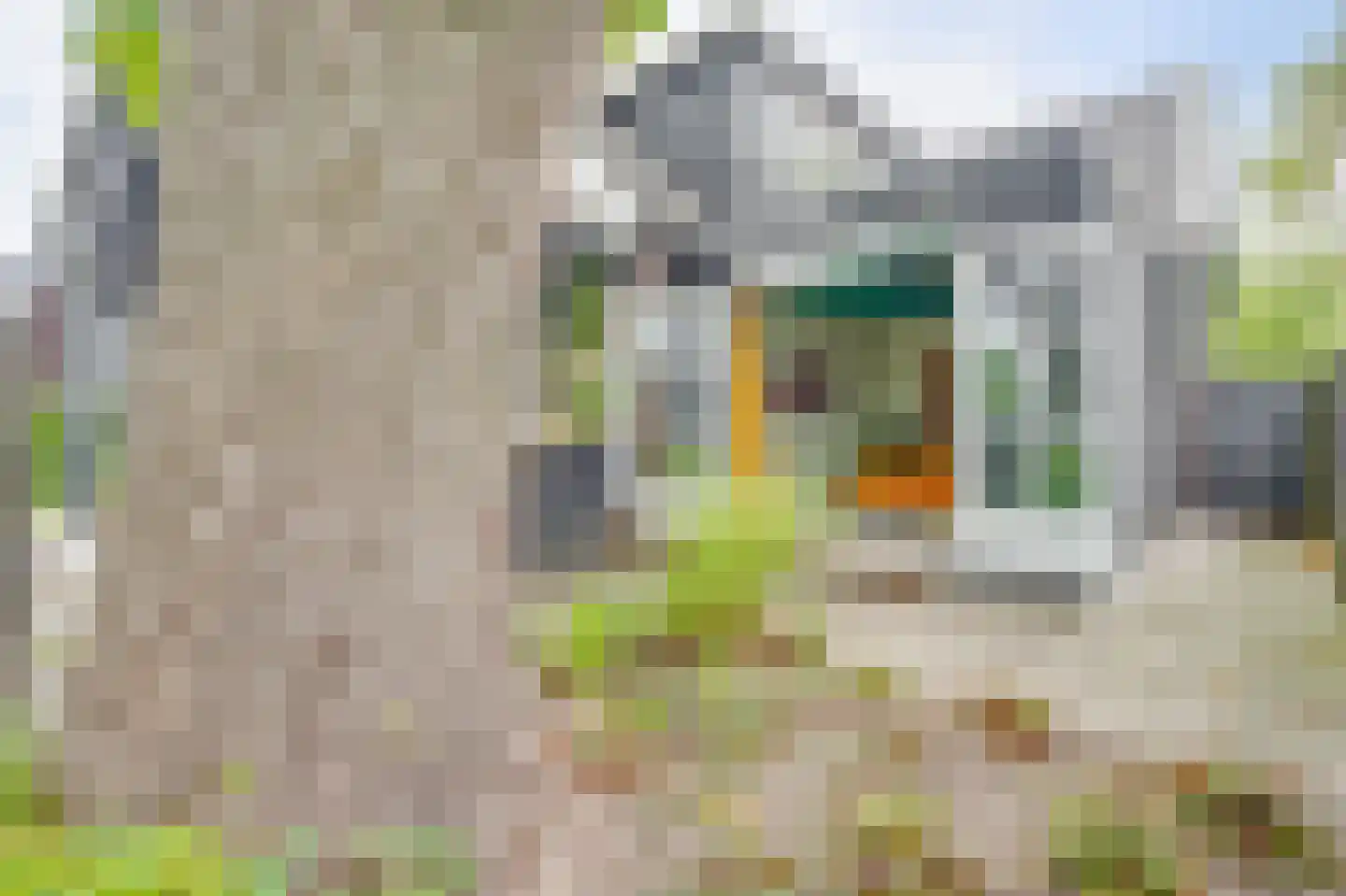 Voorburggracht 479 Oudkarspel thumbnail 52