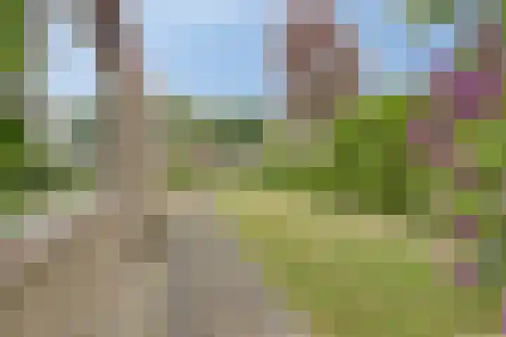 Voorburglaan 17 Brouwershaven thumbnail 17