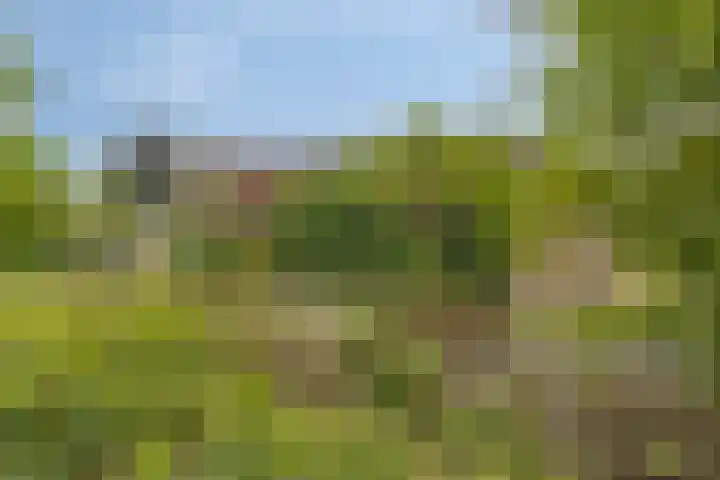Voorburglaan 17 Brouwershaven thumbnail 6