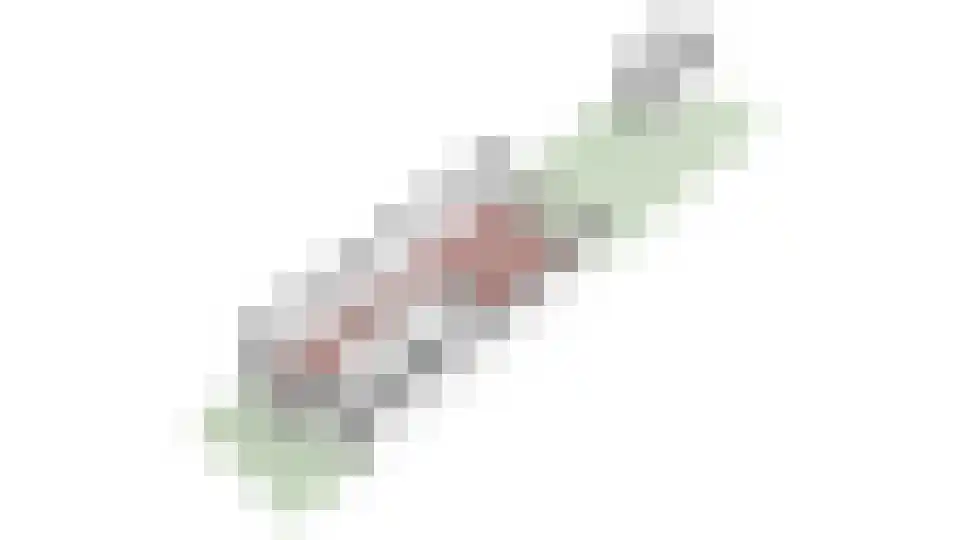 Voorburglaan 44 Wageningen thumbnail 37