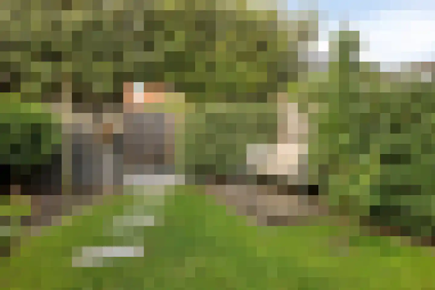 Voorburglaan 52 Wageningen thumbnail 32