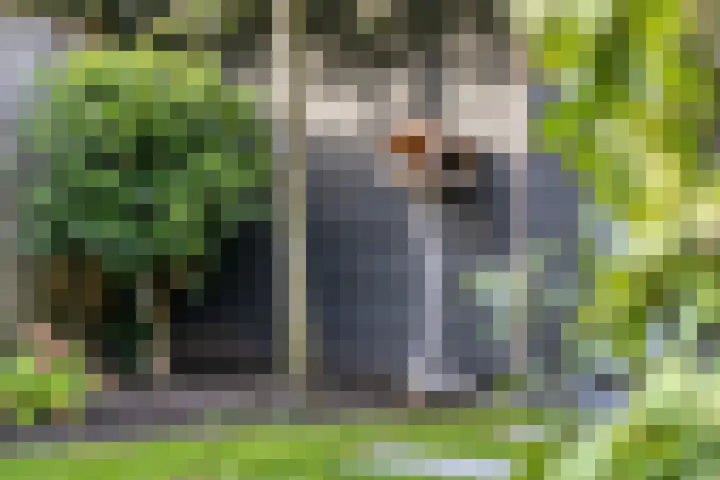 Voorburglaan 52 Wageningen thumbnail 33