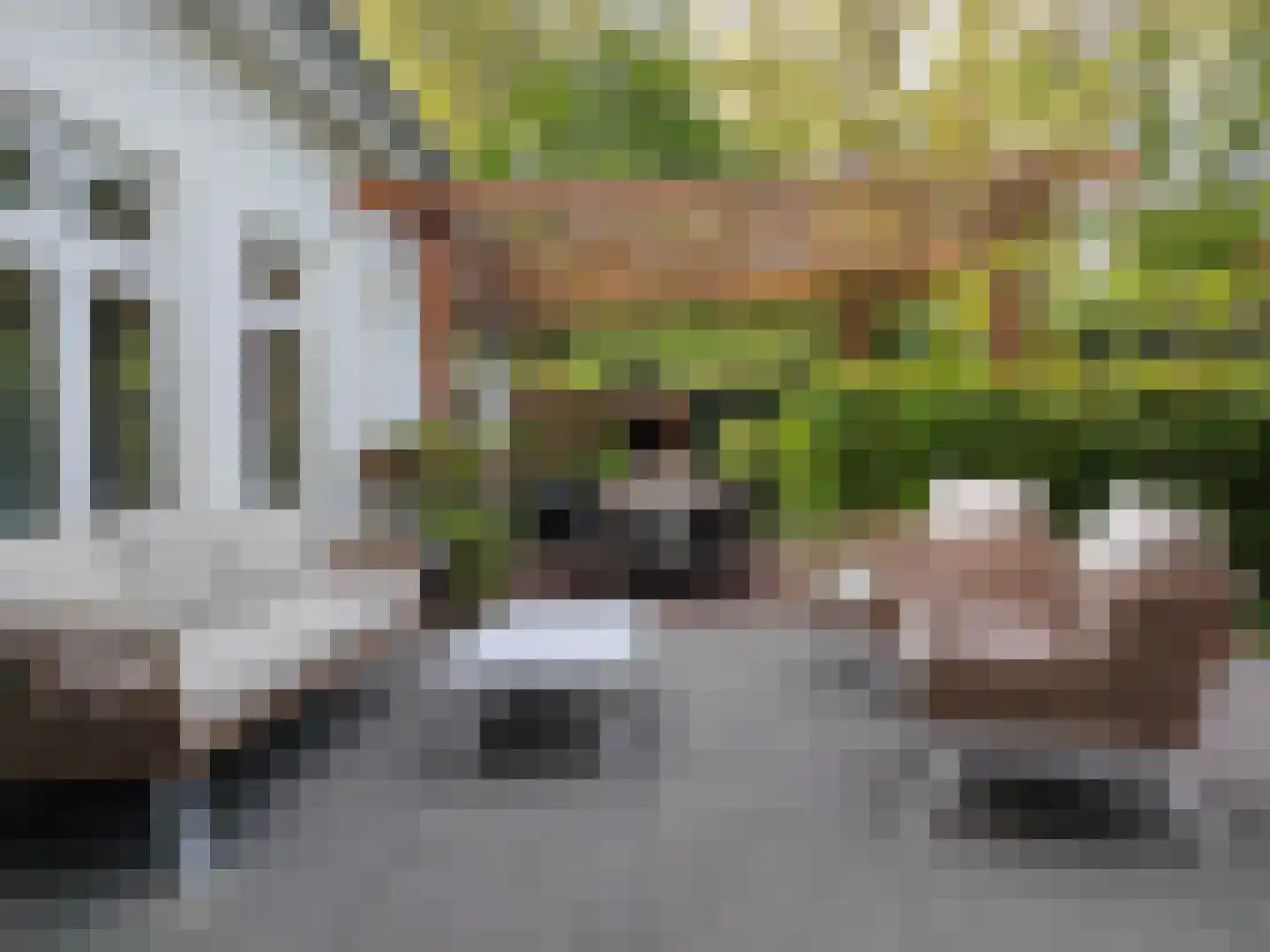 Voorburgseweg 25 Leidschendam thumbnail 49