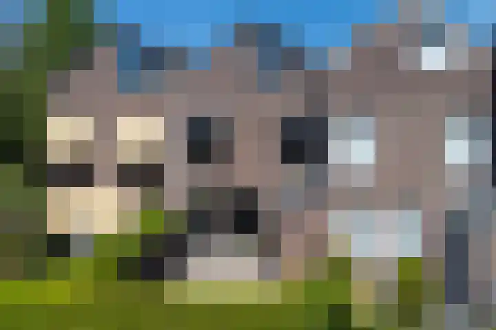 Voorburgstraat 13 Loenersloot thumbnail 41