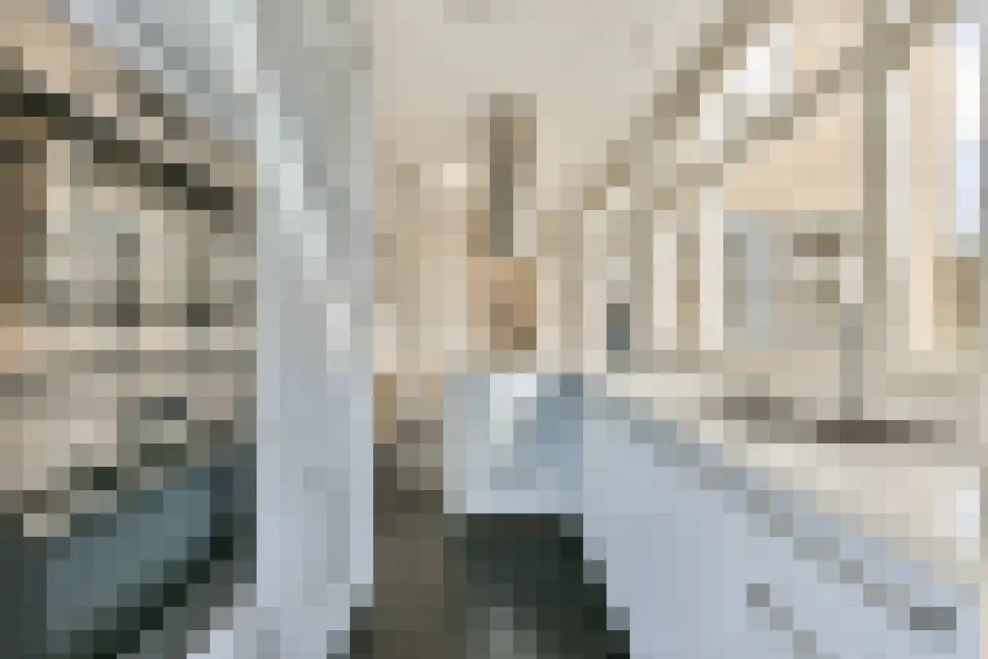 Voorburgstraat 26 Loenersloot thumbnail 13
