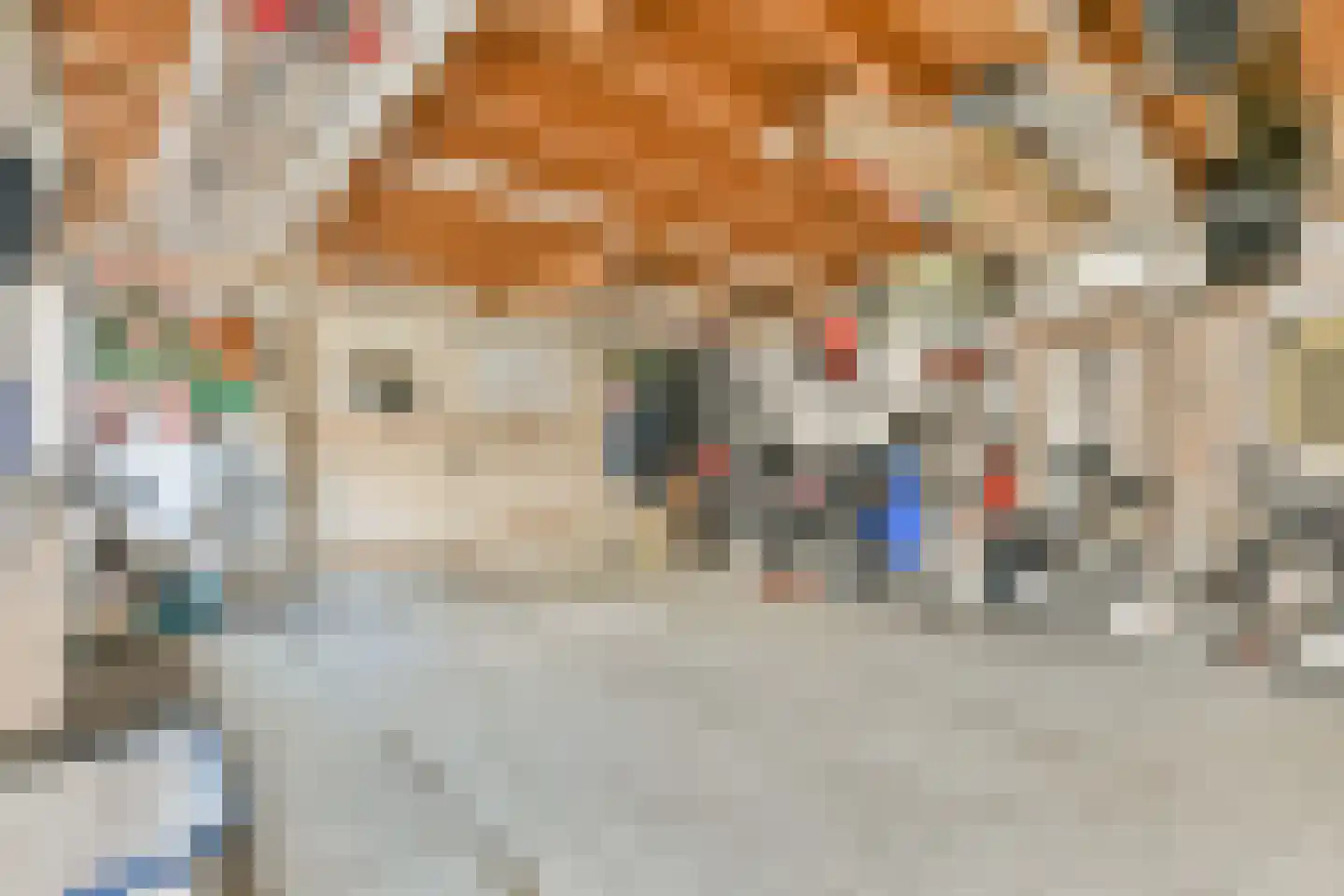 Voorburgstraat 26 Loenersloot thumbnail 22