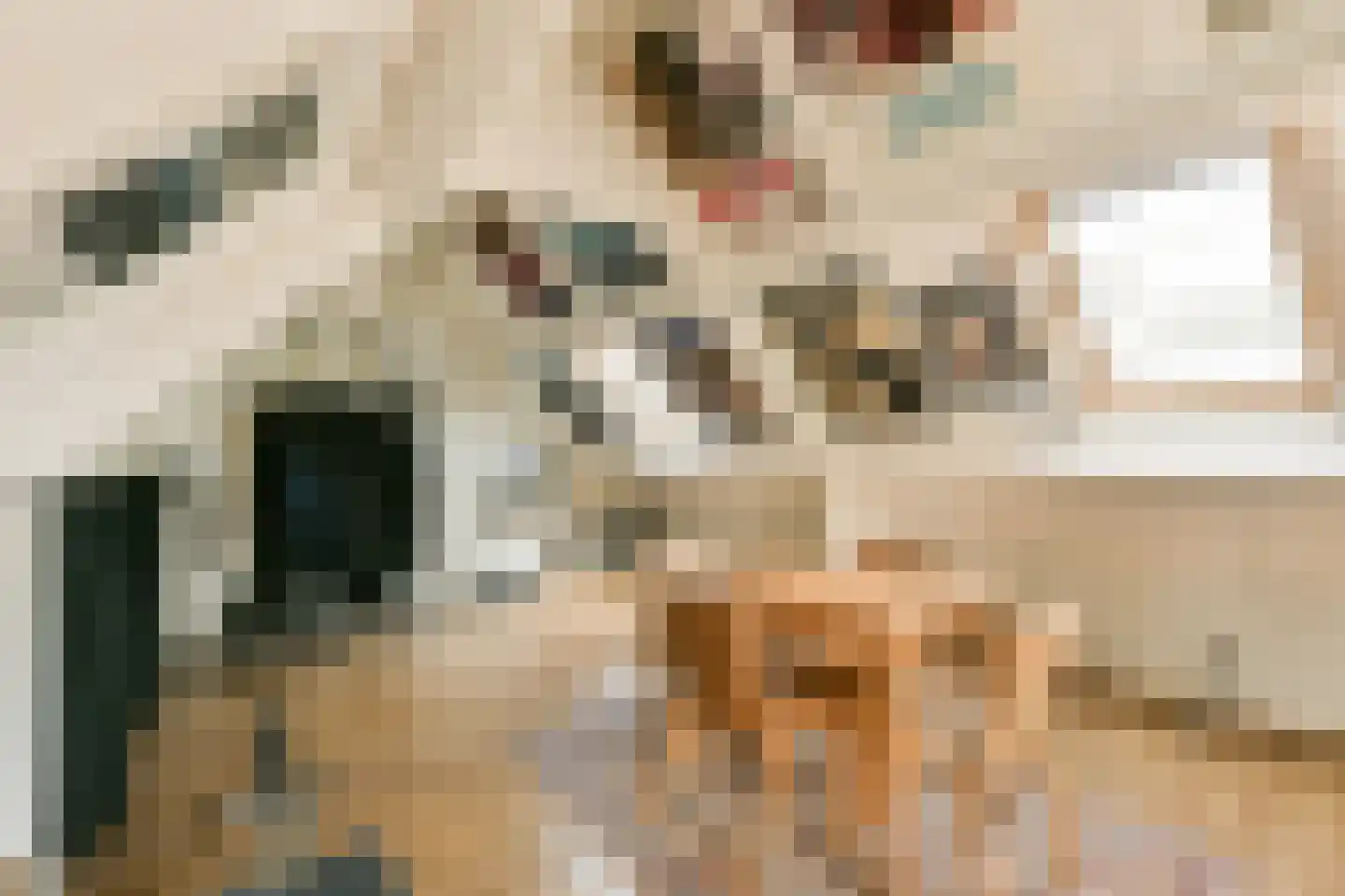 Voorburgstraat 26 Loenersloot thumbnail 24