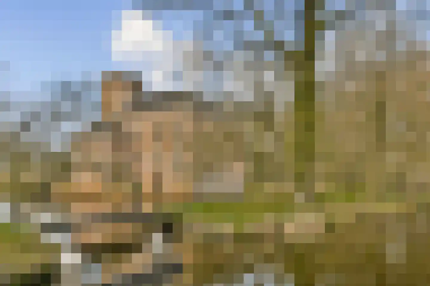 Voorburgstraat 26 Loenersloot thumbnail 28