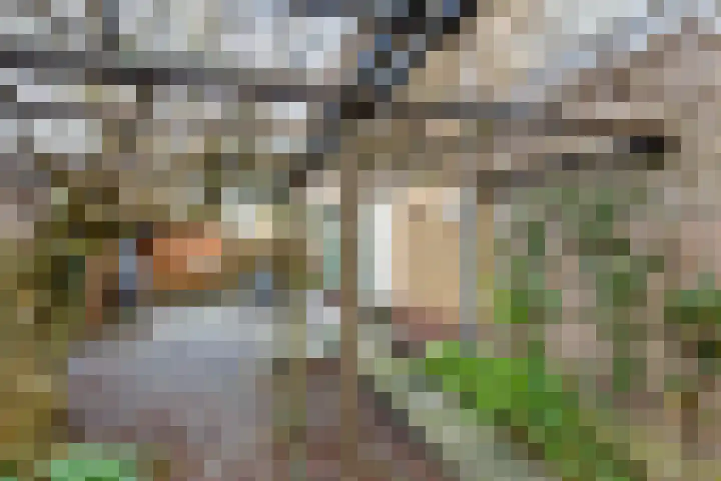 Voorburgstraat 28 Loenersloot thumbnail 57