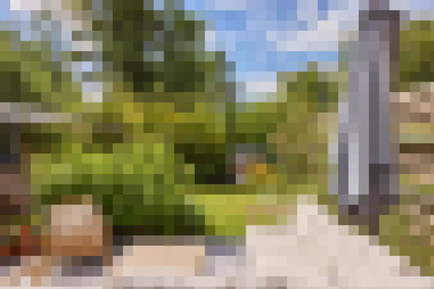 Voorburgstraat 36 Loenersloot thumbnail 34