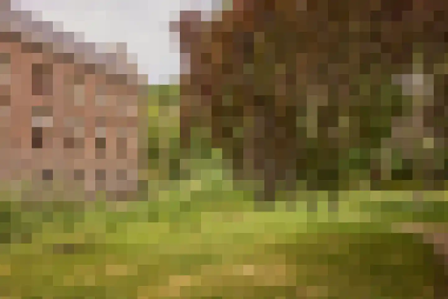 Voorburgstraat 36 Loenersloot thumbnail 39