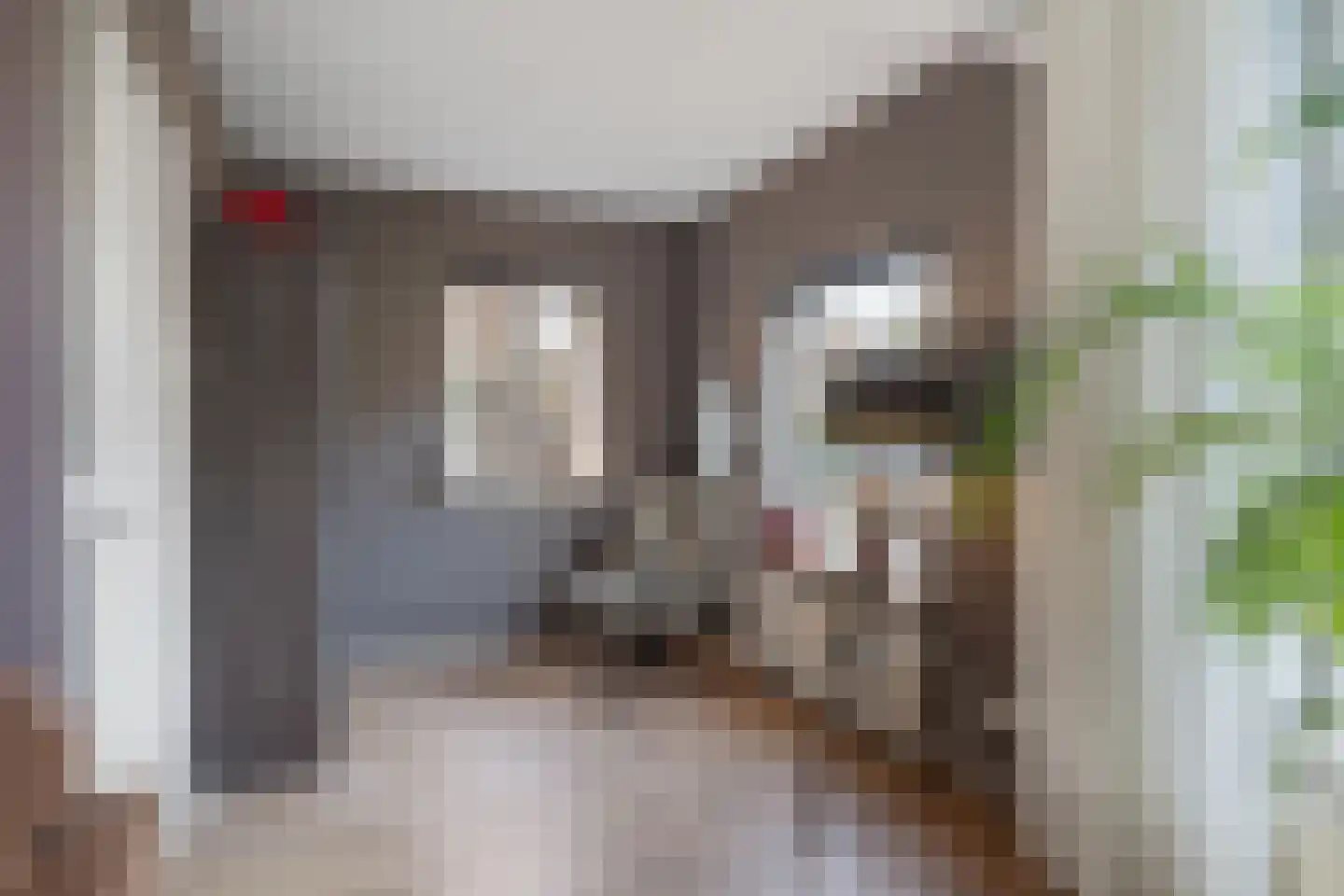Voorburgstraat 38 Loenersloot thumbnail 12