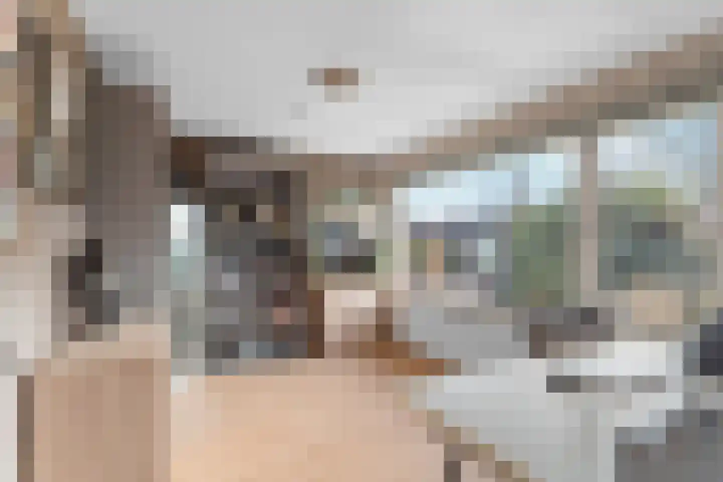 Voorburgstraat 38 Loenersloot thumbnail 27
