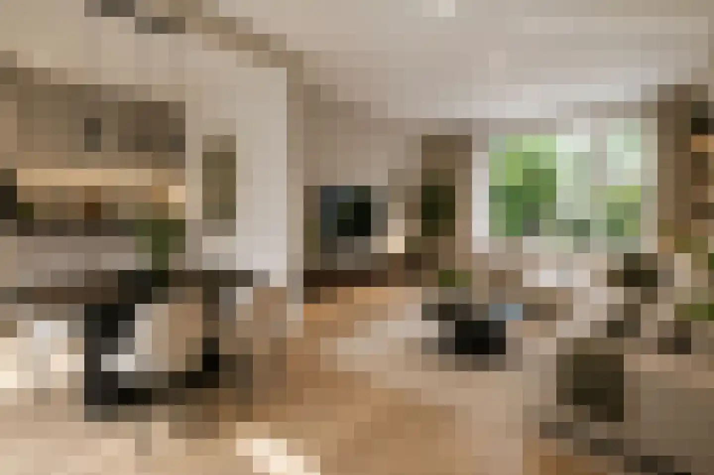 Voorburgstraat 6 Loenersloot thumbnail 7