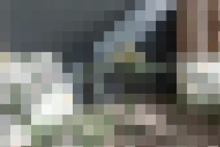Voorburgstraat 8 Loenersloot thumbnail 20