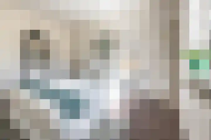Voorburgstraat 8 Loenersloot thumbnail 33