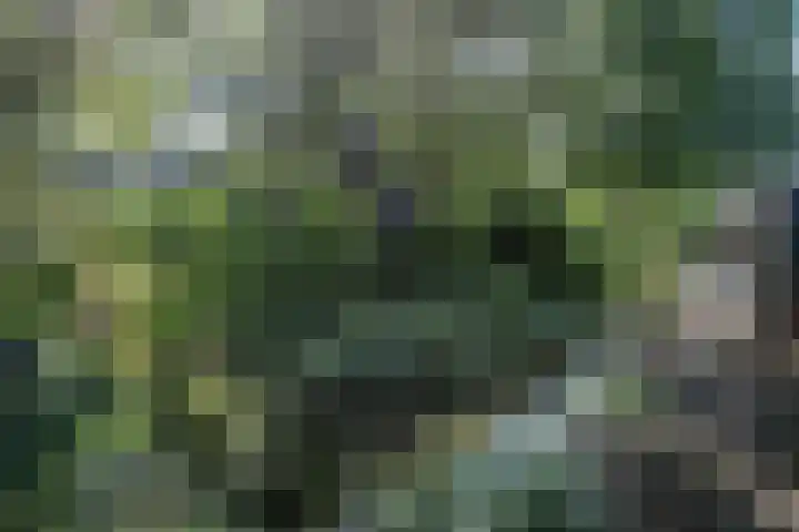 Voorburgstraat 8 Loenersloot thumbnail 42
