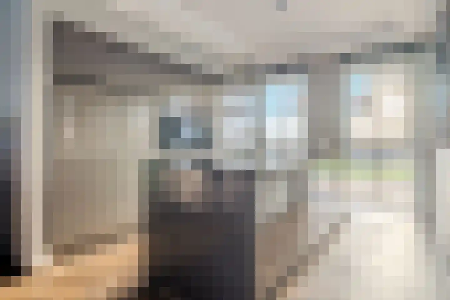 Voorbuurt 8 Purmerend thumbnail 12