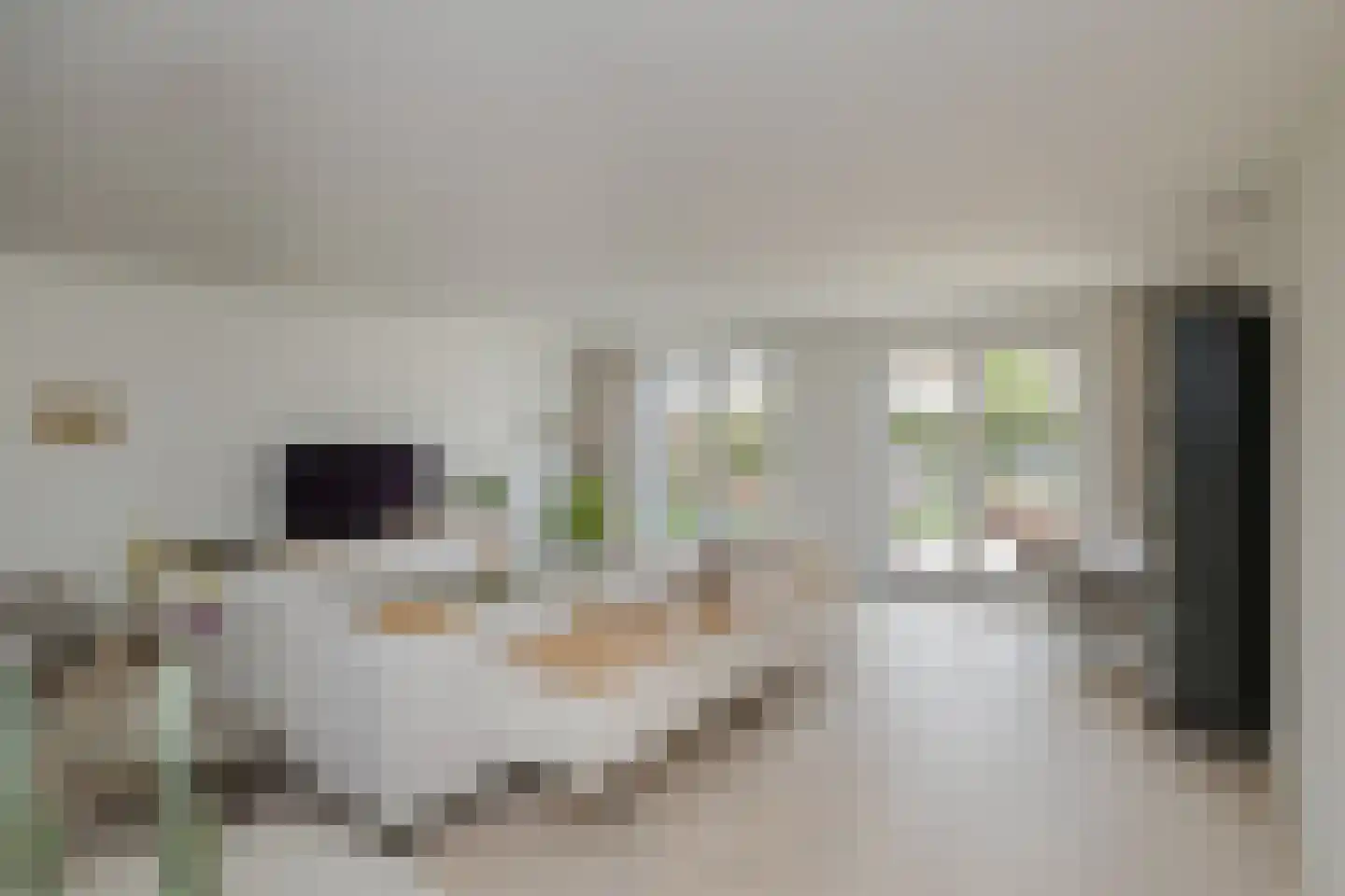 Voorcroft 28 Velserbroek thumbnail 18