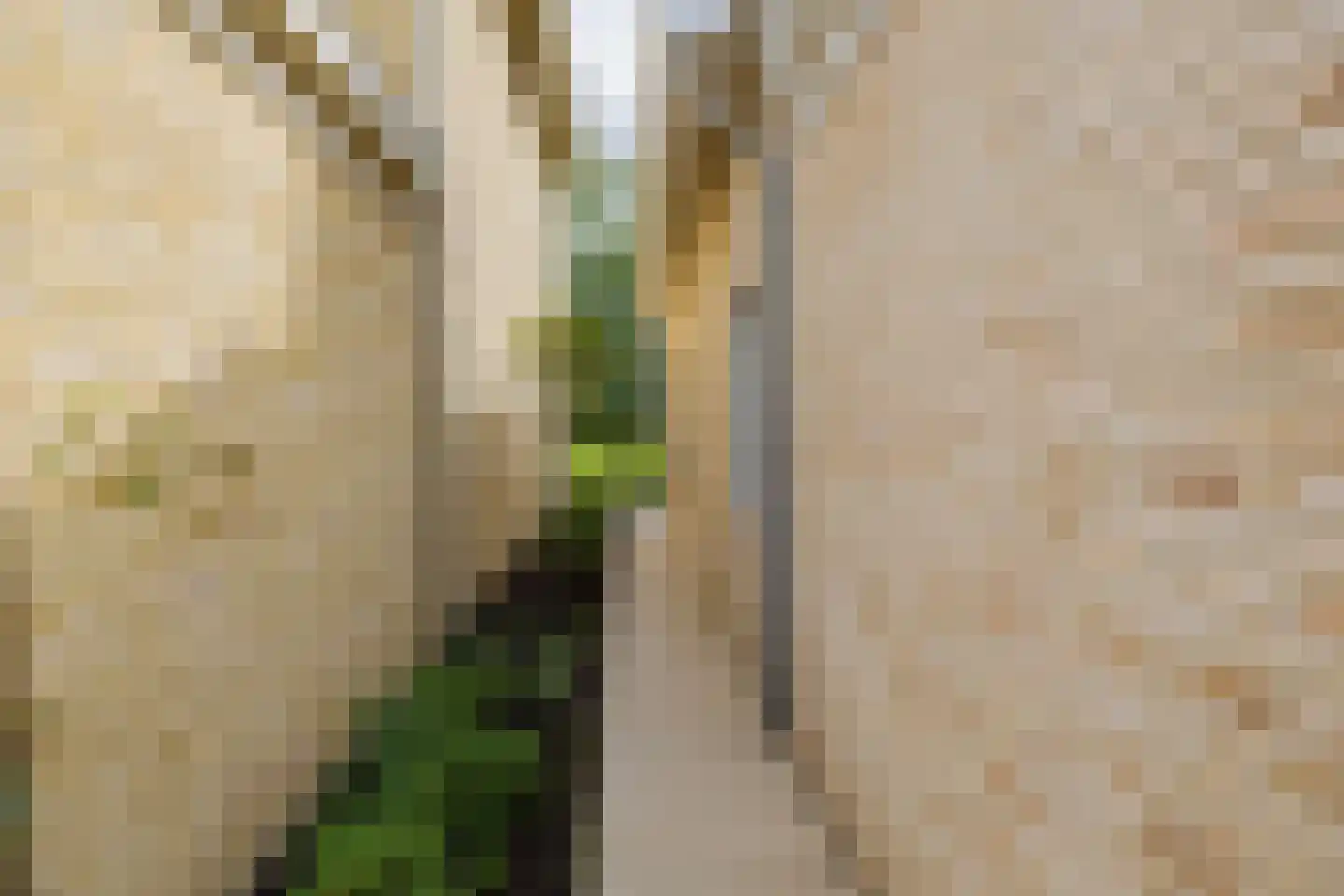 Voorcroft 28 Velserbroek thumbnail 36