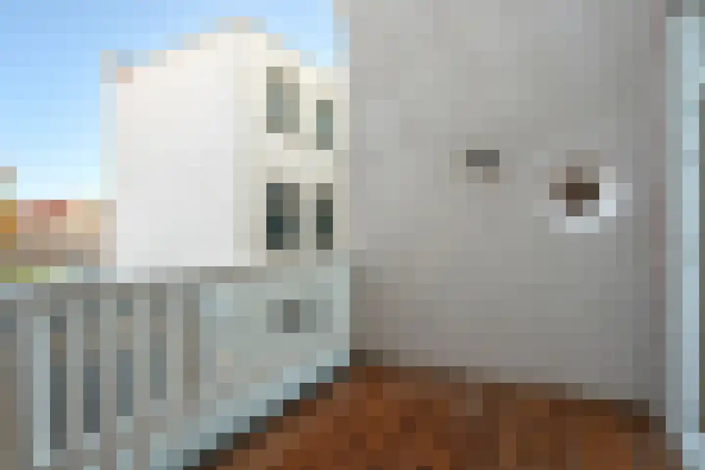 Voordam 11 D Alkmaar thumbnail 25