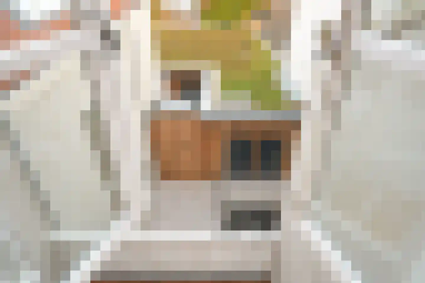 Voordam 11 D Alkmaar thumbnail 31