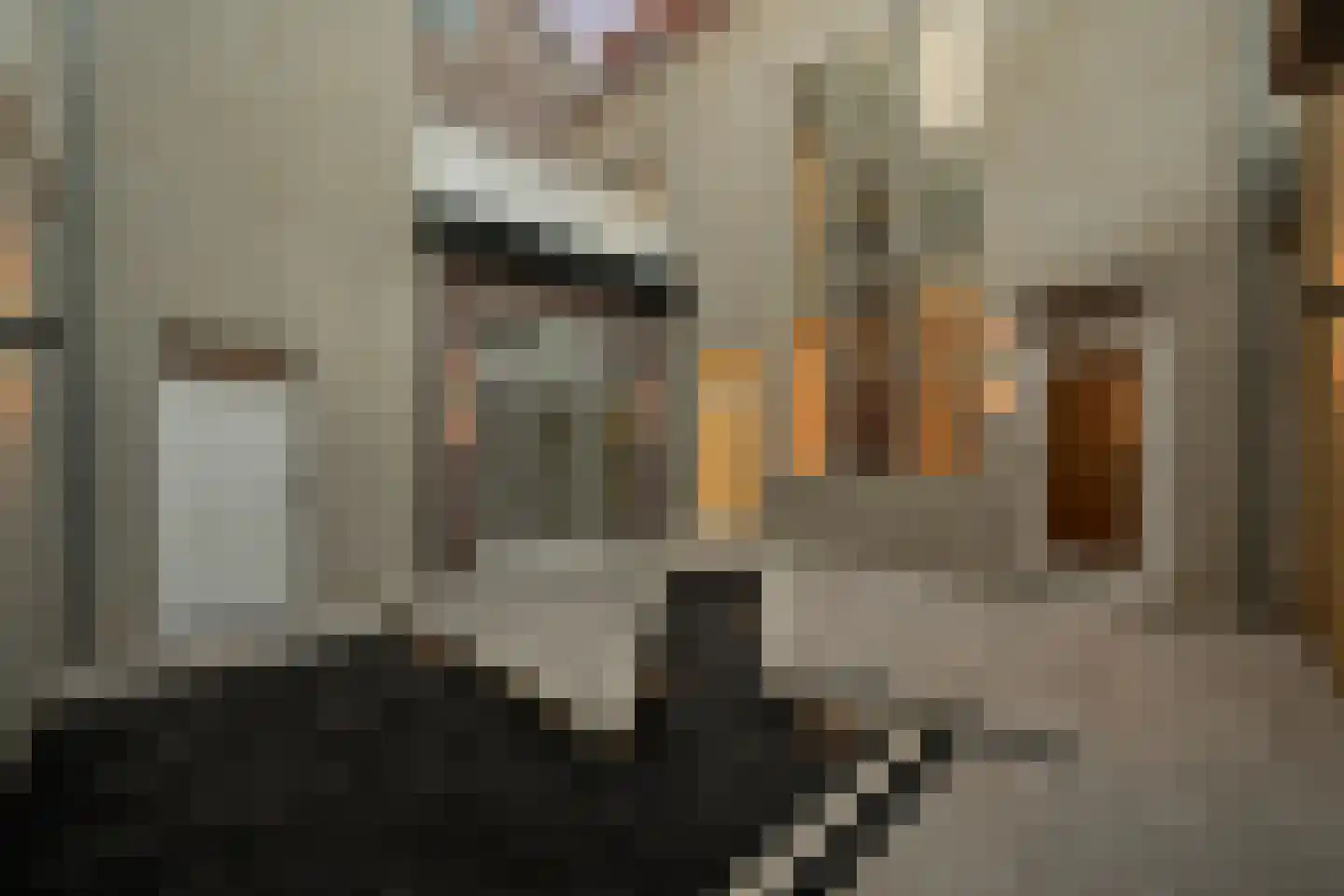 Voordam 11 D Alkmaar thumbnail 40